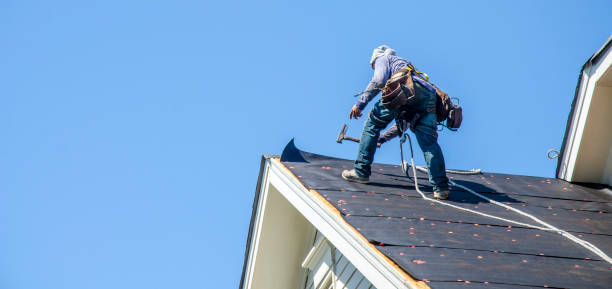 Best Roof Gutter Cleaning  in Runge, TX